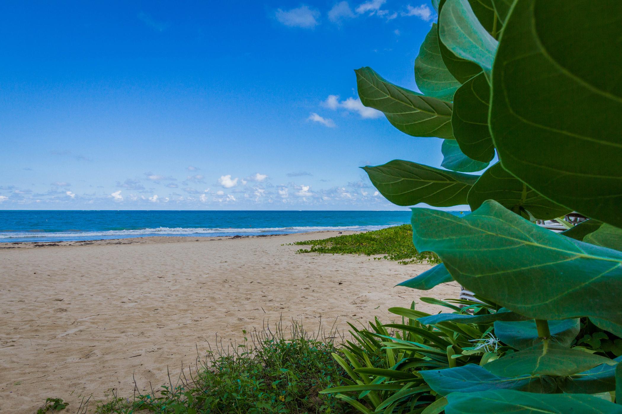 Tryp By Wyndham Isla Verde San Juan Buitenkant foto